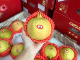 Top 100 địa điểm bán trái cây nhập khẩu uy tín hàng đầu Tp Hồ Chí Minh