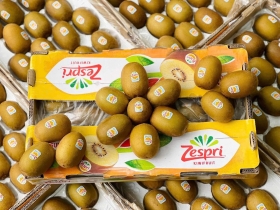 TÁC DỤNG TỐT TỪ TRÁI KIWI