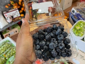 Việt Quất – Loại quả tuyệt vời cho sức khỏe