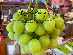 Nho Xanh Bay Chuẩn Mỹ - Lâm Phương