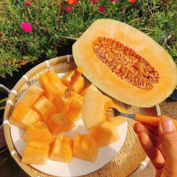 Trái Cây Tươi mỗi ngày nhà Lâm Phương