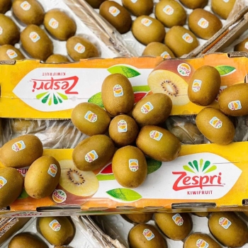 TÁC DỤNG TỐT TỪ TRÁI KIWI