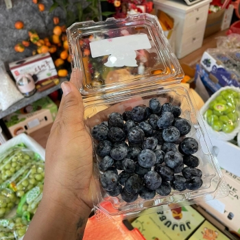 Việt Quất – Loại quả tuyệt vời cho sức khỏe