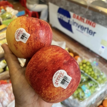 Hàng trái cây nhập khẩu về liên tục tại Trái cây Lâm Phương