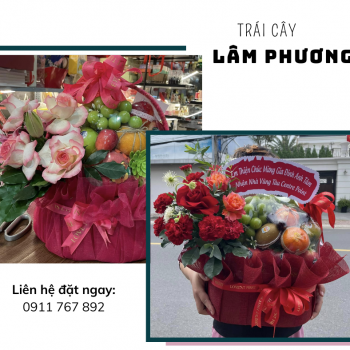 Mừng Ngày Phụ Nữ Việt Nam 20/10 – Giảm Giá 5% Toàn Bộ Giỏ Trái Cây & Miễn Ship Tận Nhà!