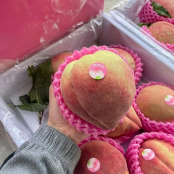 Đào Tuyết Lệ Giang