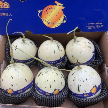 Dưa Trứng Khủng Long