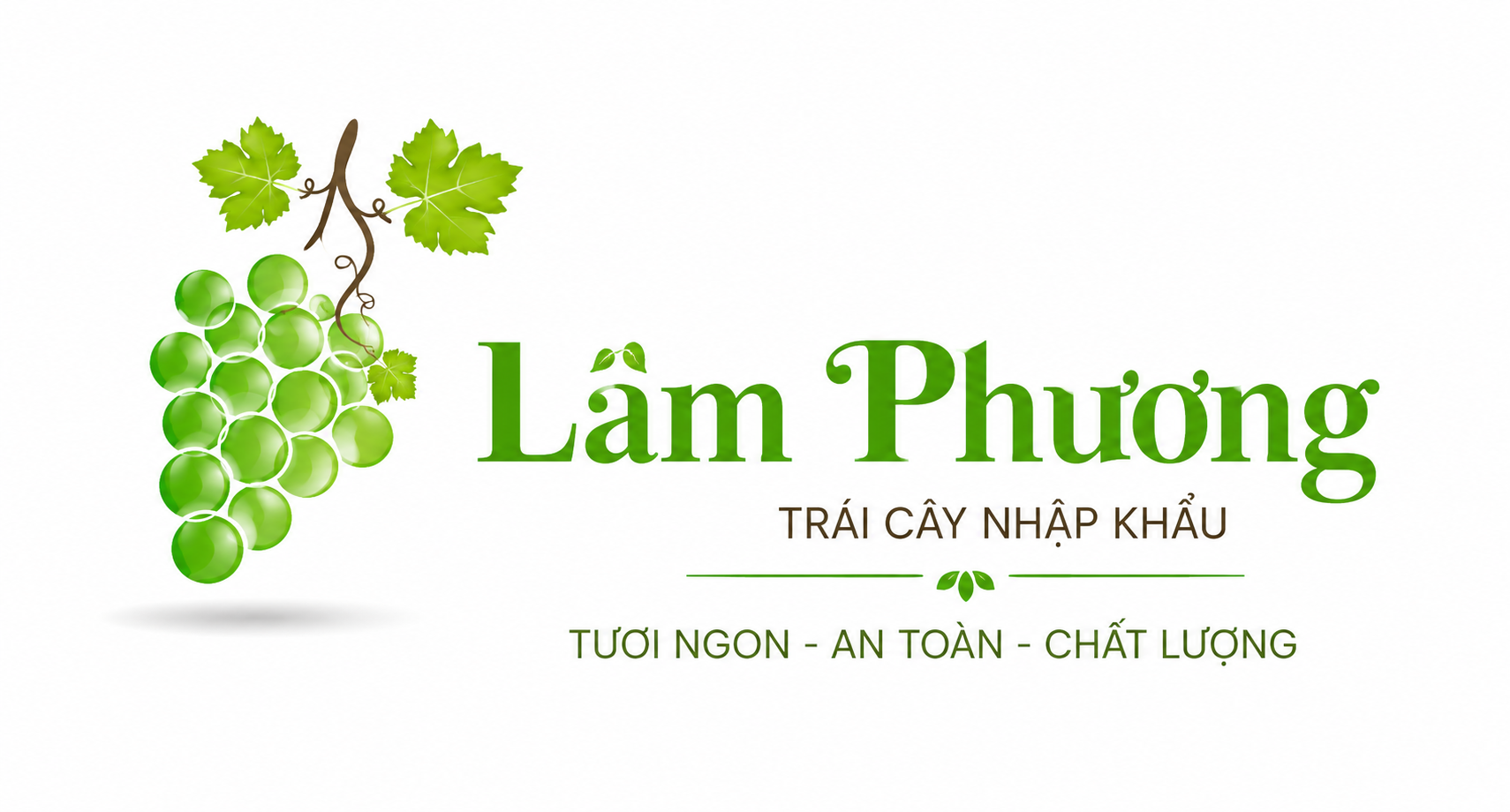 TRÁI CÂY LÂM PHƯƠNG | TRÁI CÂY VŨNG TÀU | GIỎ QUÀ TẶNG VŨNG TÀU